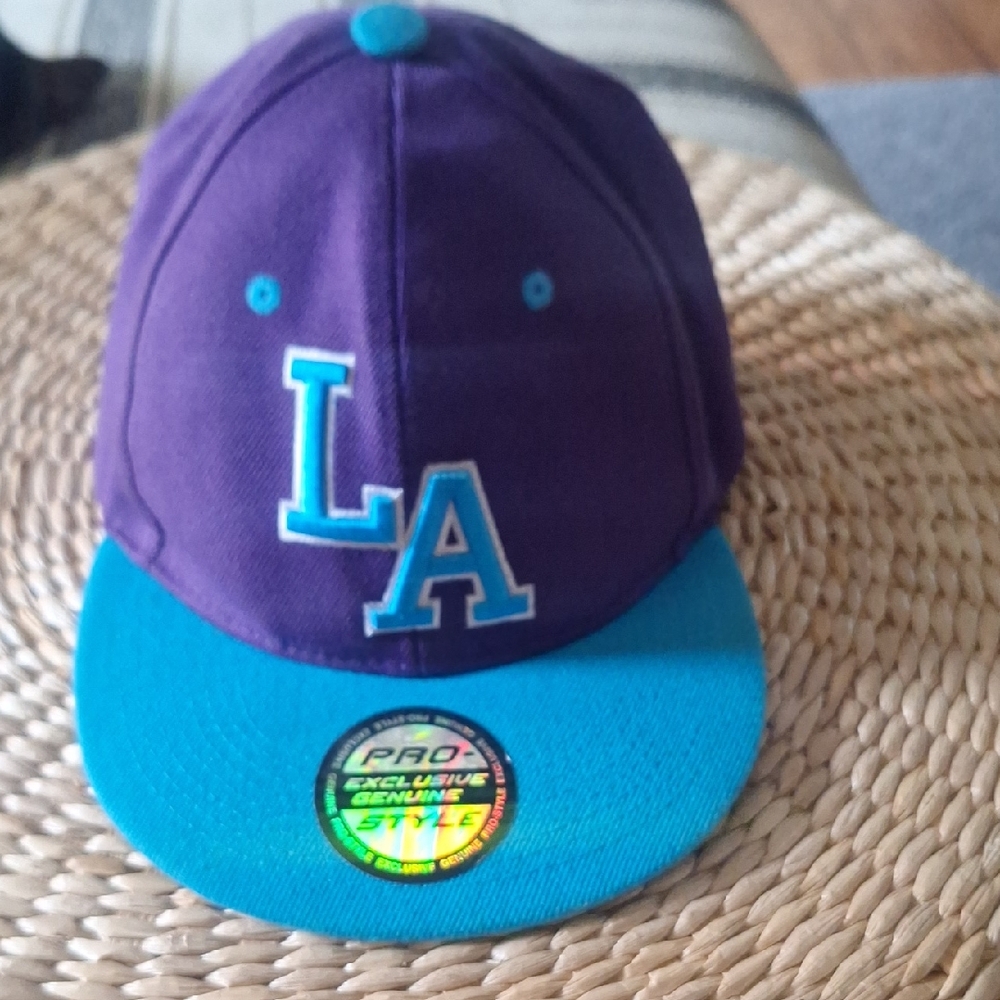 Los Angeles Apparel Purple and Teal Cap